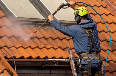Démoussage et hydrofuge de toiture à Juncalas
